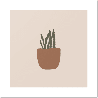 potted plant Posters and Art